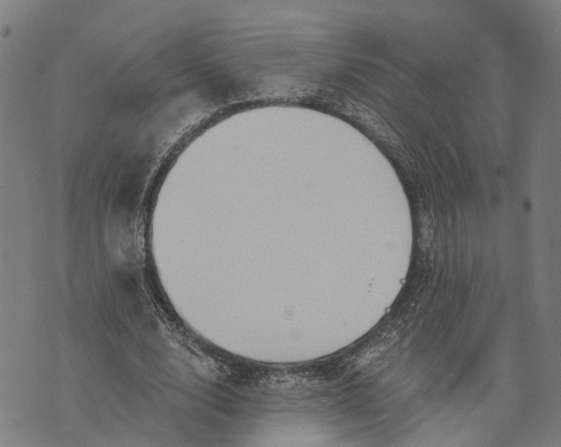 X0000073760632200608241413