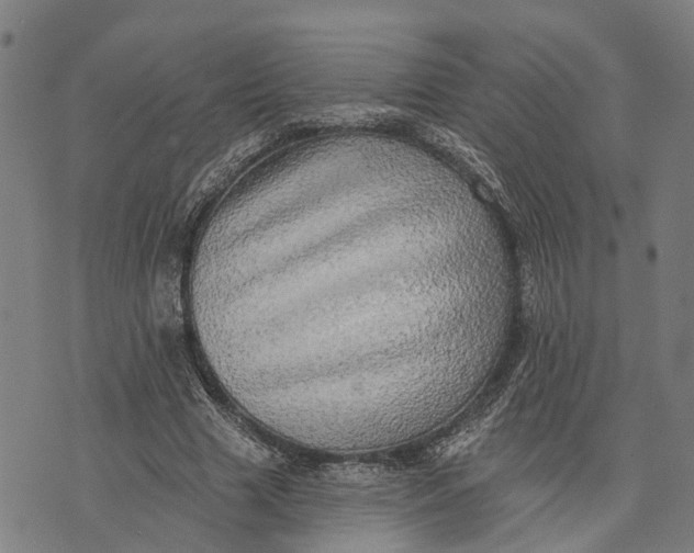 X0000073760633200608241413