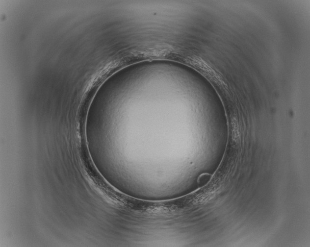 X0000073760634200608241413