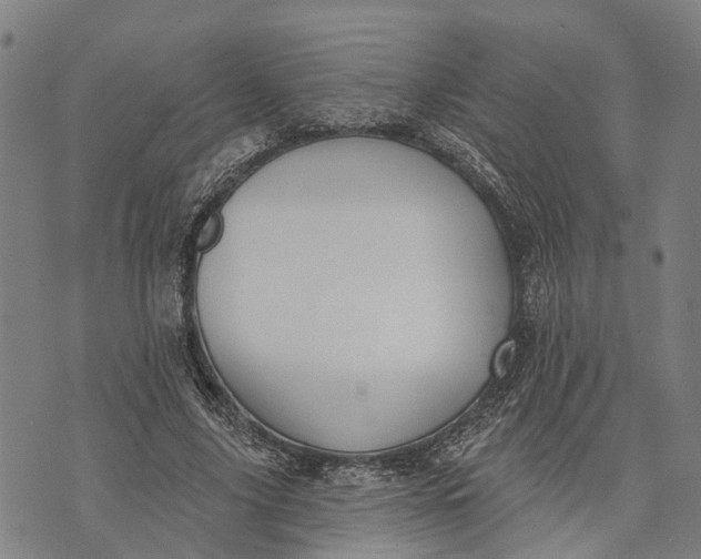 X0000073760635200608241413