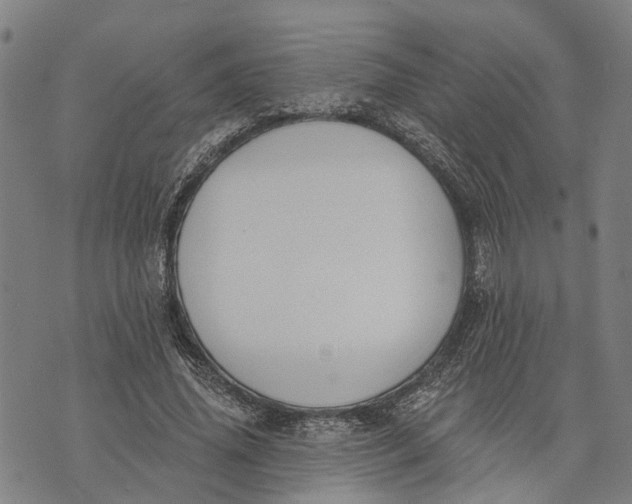 X0000073760636200608241413