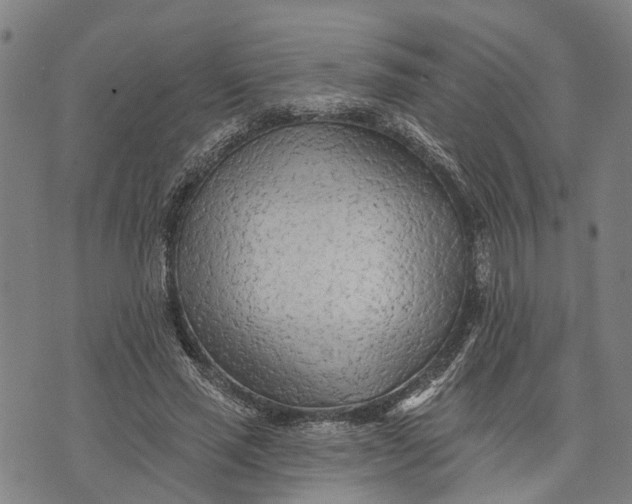 X0000073760637200608241413