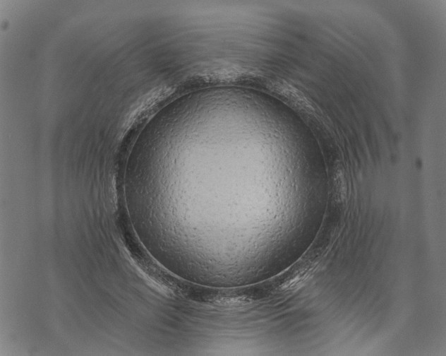 X0000073760638200608241413