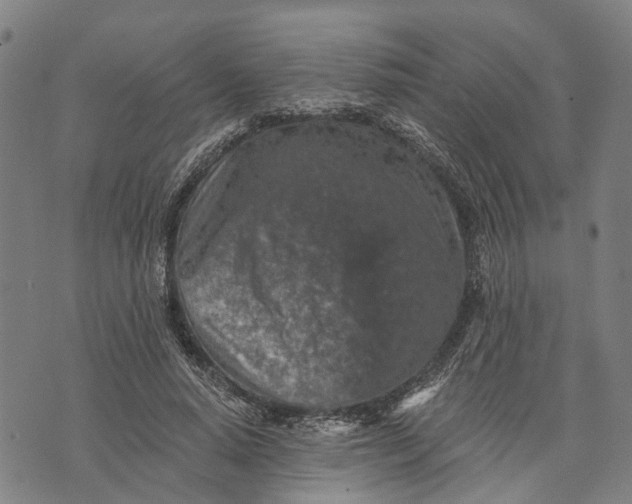 X0000073760640200608241413