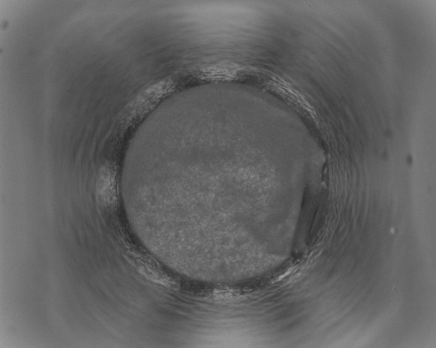 X0000073760641200608241413