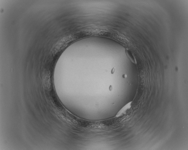 X0000073760642200608241413