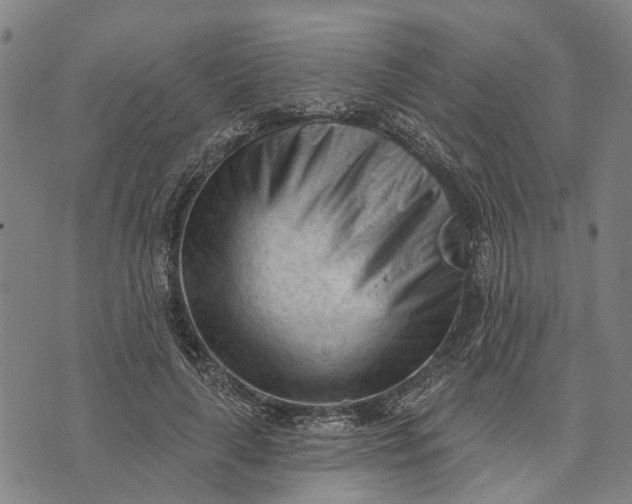 X0000073760643200608241413