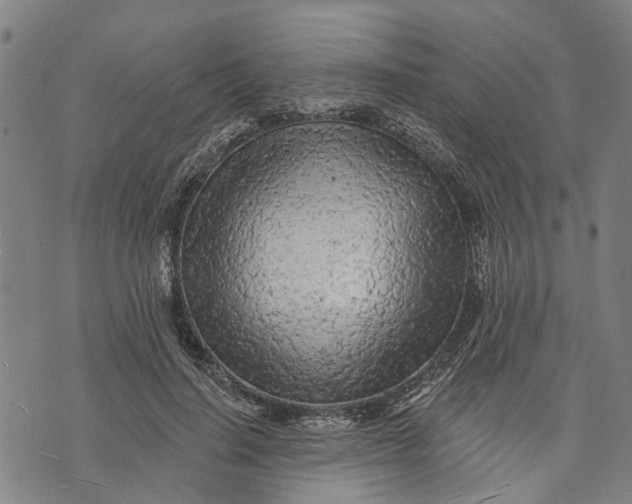 X0000073760644200608241413