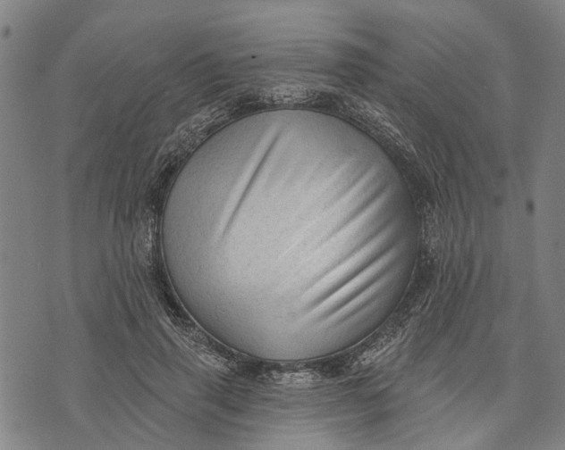 X0000073760645200608241413