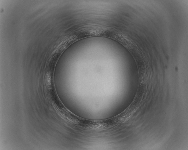 X0000073760646200608241413