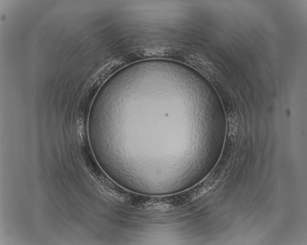 X0000073760648200608241413