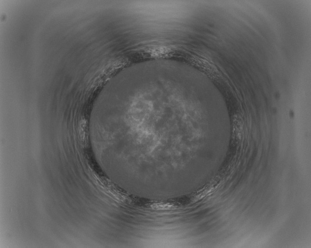 X0000073760650200608241413