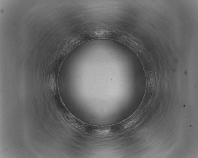 X0000073760651200608241413