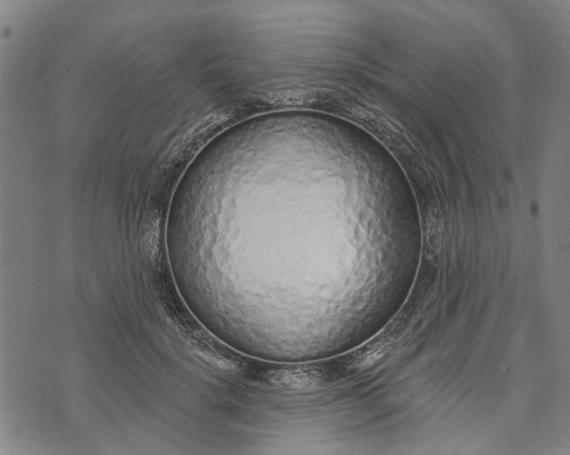 X0000073760652200608241413