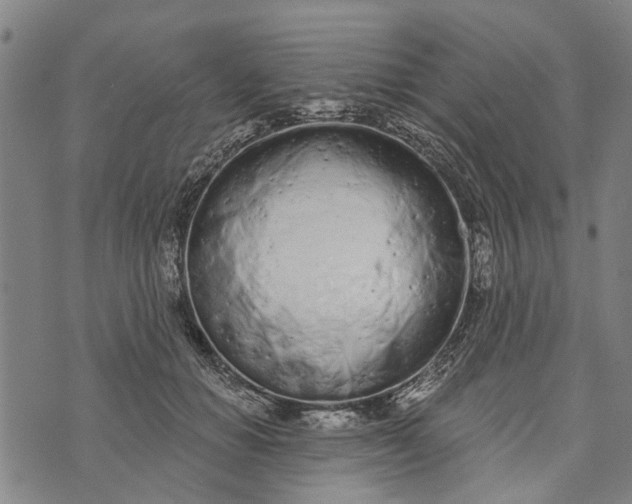 X0000073760654200608241413