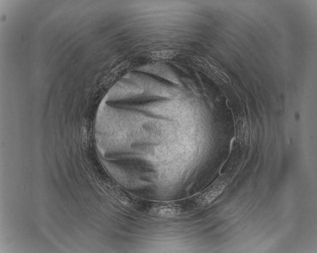 X0000073760655200608241413