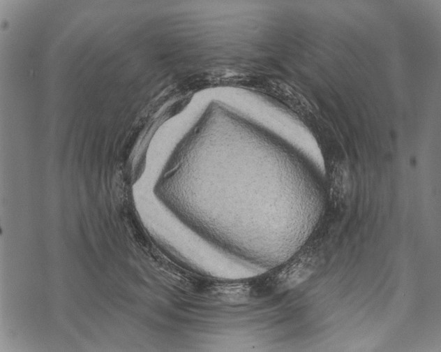 X0000073760659200608241413