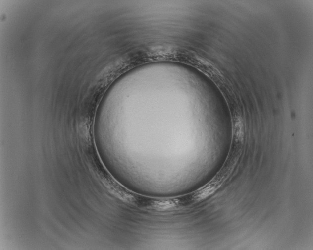 X0000073760662200608241413