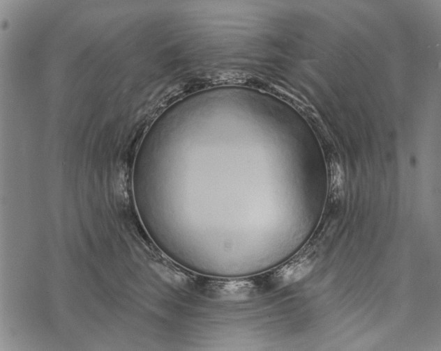 X0000073760663200608241413