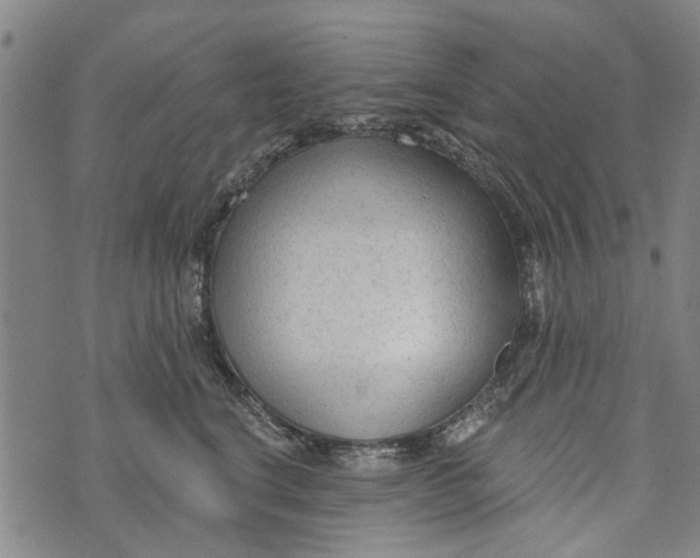 X0000073760664200608241413