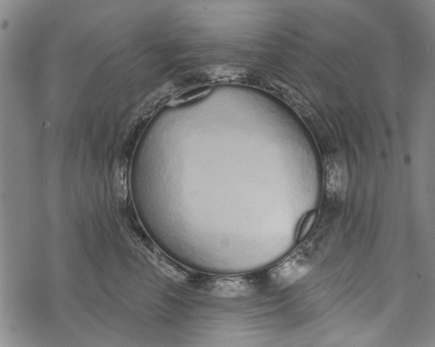 X0000073760666200608241413