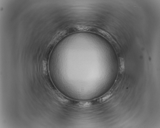 X0000073760667200608241413