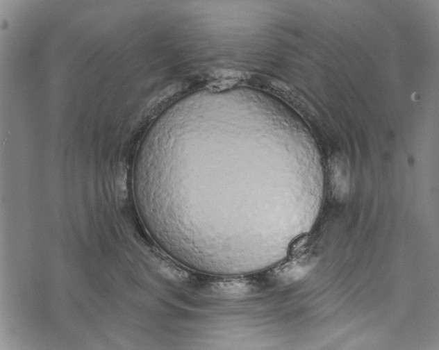 X0000073760668200608241413