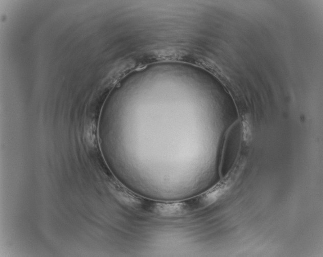 X0000073760671200608241413