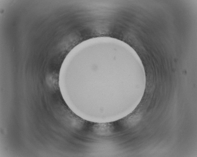 X0000073760672200608241413