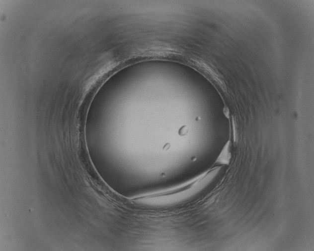 X0000073760675200608241412