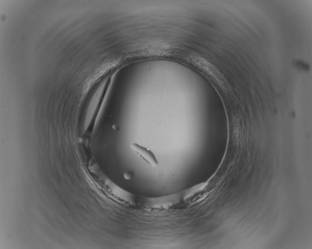 X0000073760677200608241412