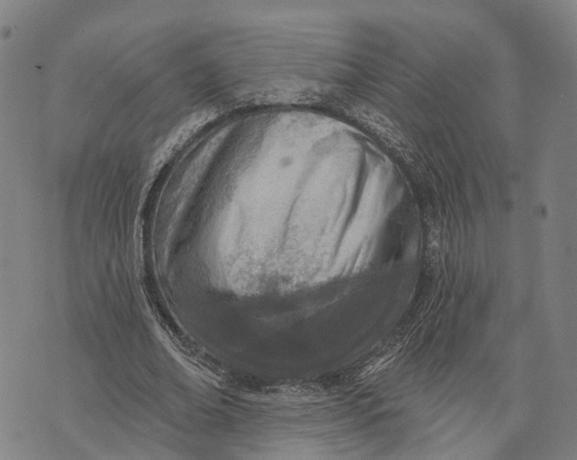 X0000073760678200608241412