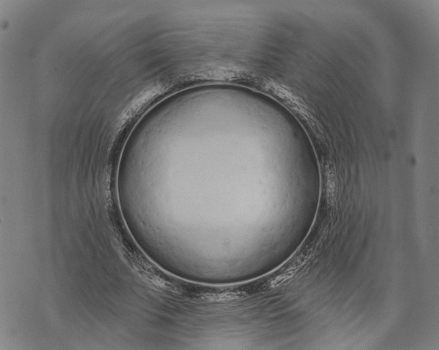 X0000073760679200608241412