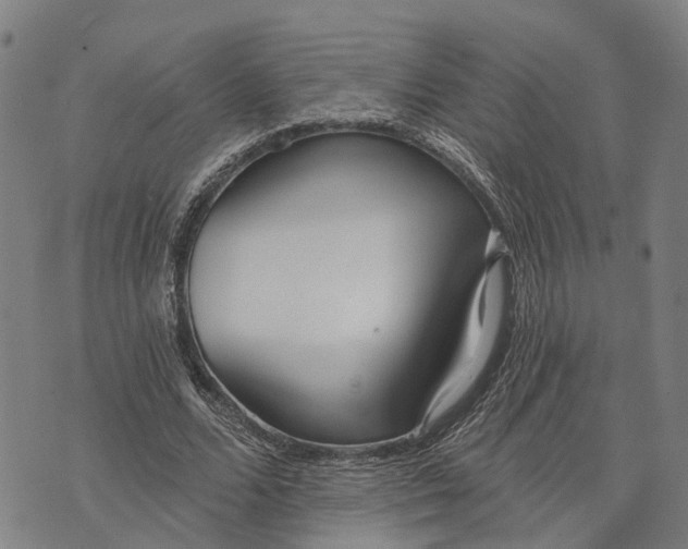 X0000073760680200608241412