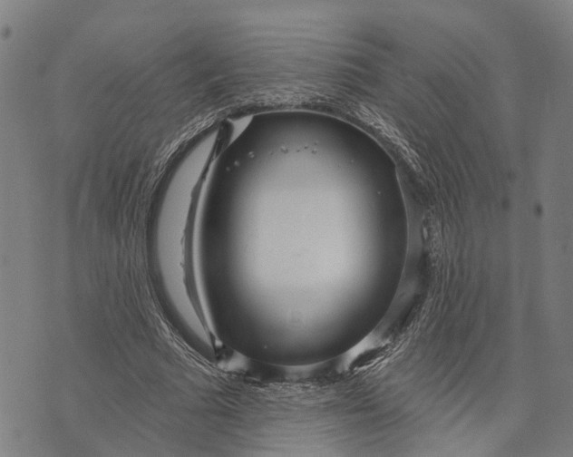 X0000073760681200608241412