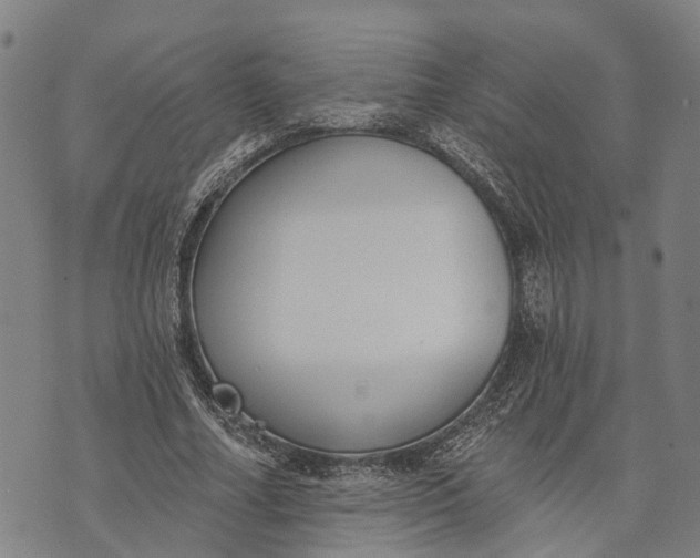 X0000073760682200608241412