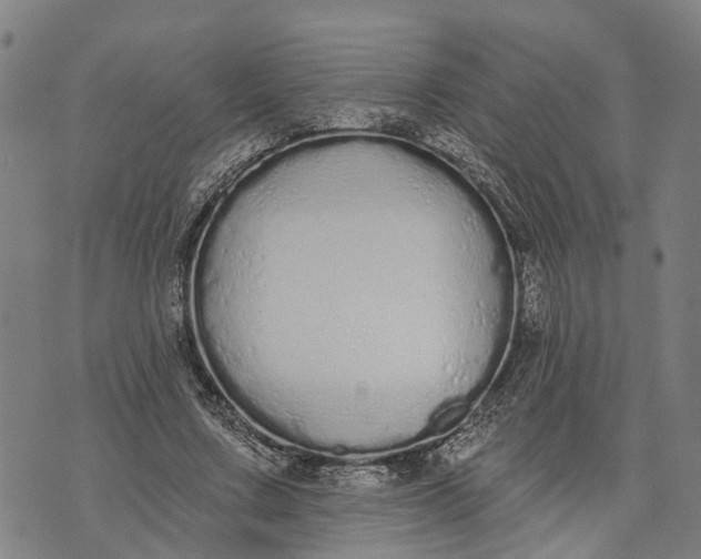 X0000073760683200608241412