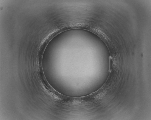 X0000073760684200608241412