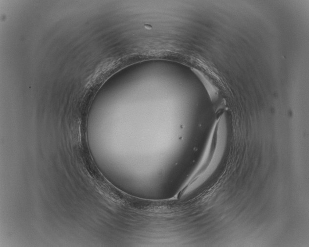 X0000073760685200608241412