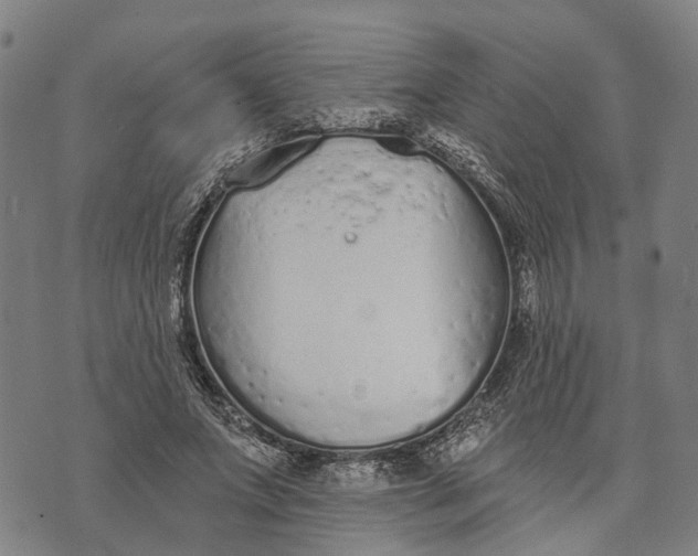 X0000073760687200608241412