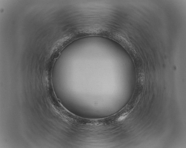 X0000073760688200608241412