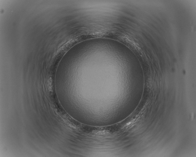 X0000073760689200608241412