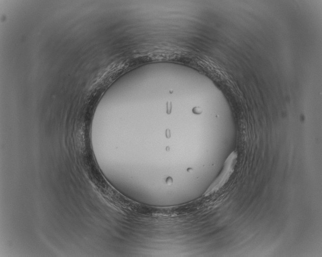 X0000073760690200608241412