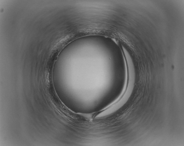 X0000073760692200608241412