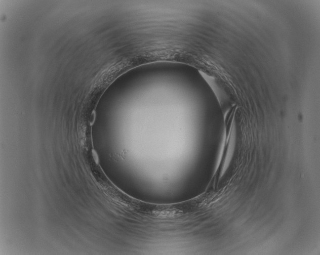 X0000073760693200608241412