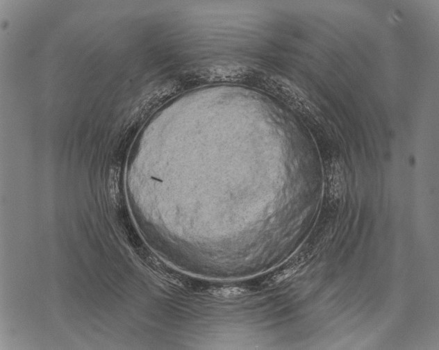 X0000073760695200608241412