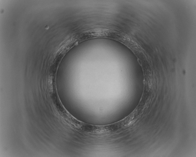 X0000073760696200608241412