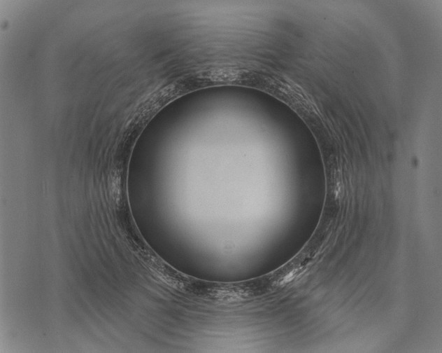X0000073760697200608241412