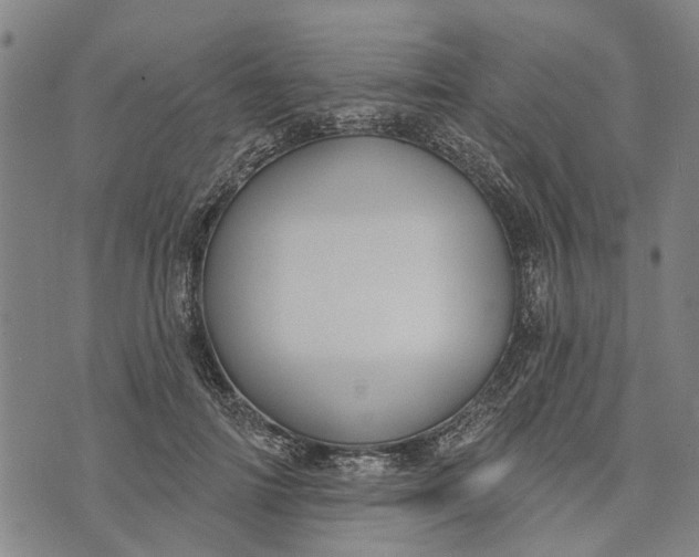 X0000073760698200608241412