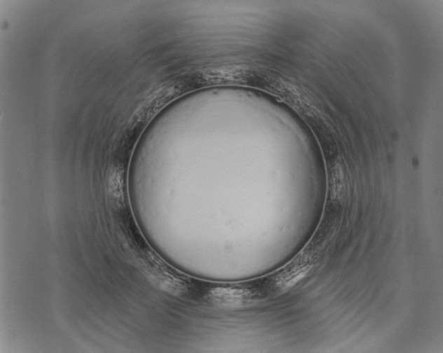 X0000073760699200608241412